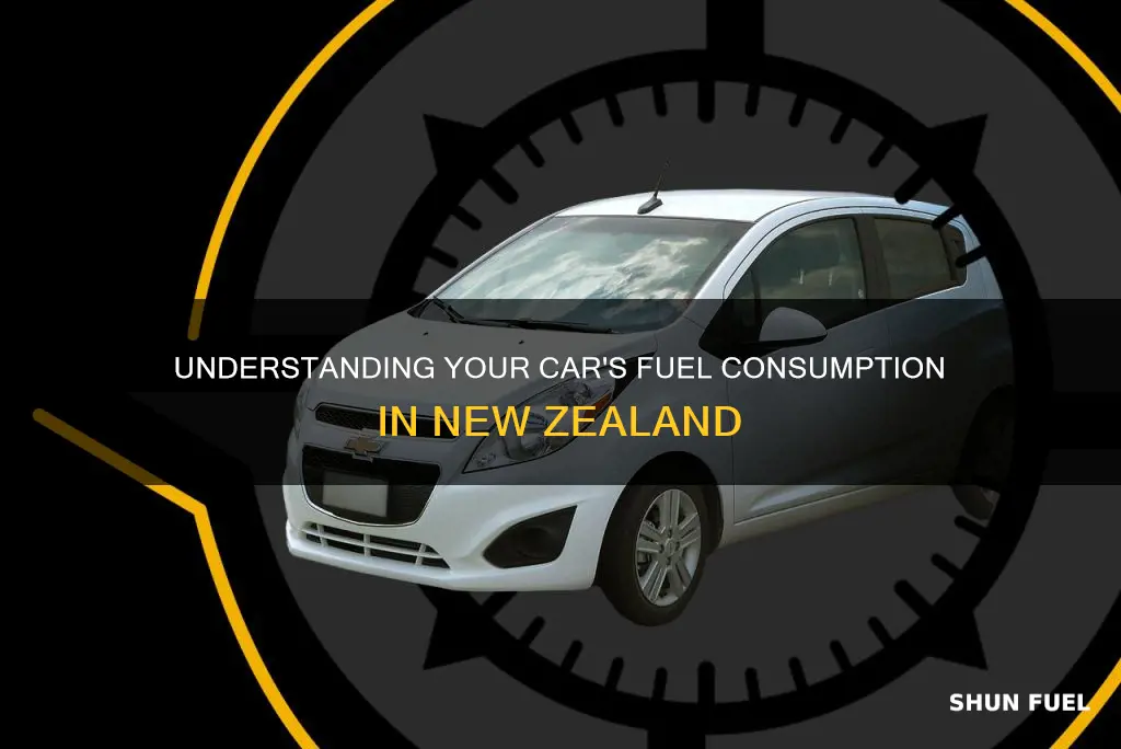 how much fuel does my car use nz