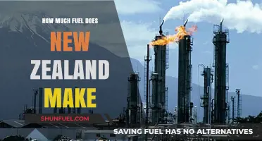 New Zealand's Fuel Production: A Comprehensive Overview