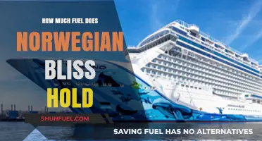 The Fuel Capacity of Norwegian Bliss Cruise Ships