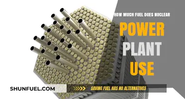 Nuclear Power Plants: Fuel Efficiency and Consumption