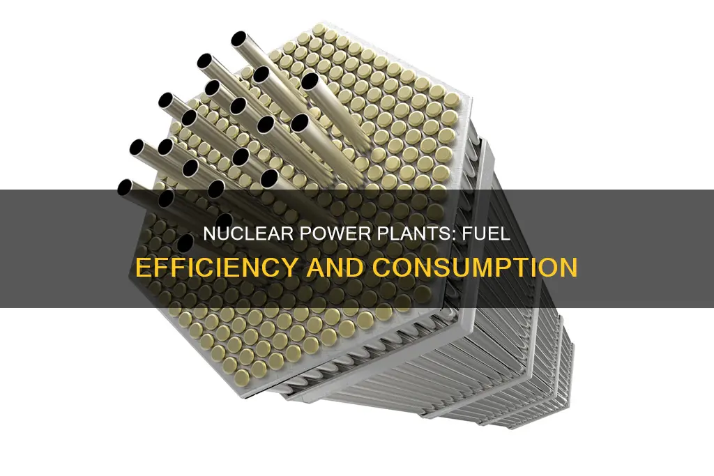 how much fuel does nuclear power plant use