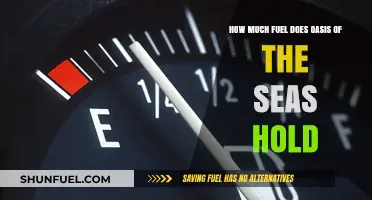 The Oasis of the Seas' Fuel Consumption Secrets