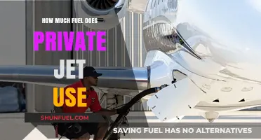Private Jet Fuel Efficiency: How Much is Consumed?