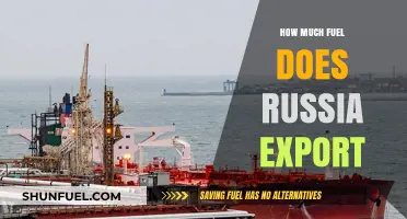 Russia's Fuel Exports: A Global Energy Powerhouse?
