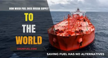 Russia's Global Fuel Supply: How Much and Where?