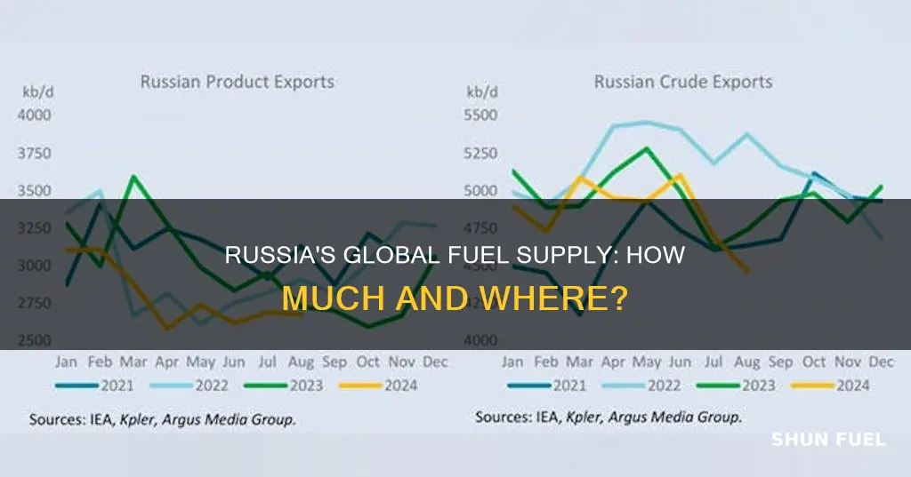how much fuel does russia supply to the world