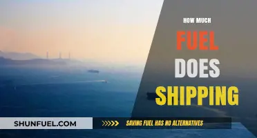 Shipping's Fuel Consumption: How Much is Too Much?
