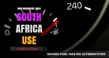 South Africa's Fuel Consumption: Understanding the Numbers