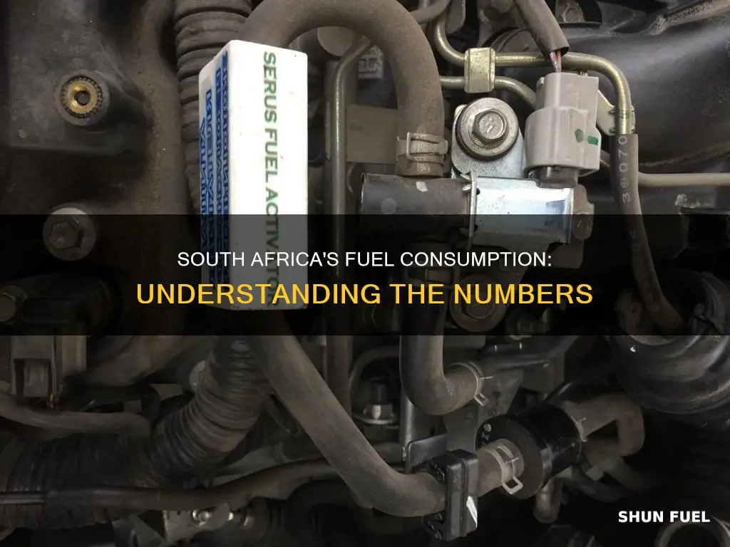 how much fuel does south africa use