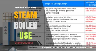 Steam Boiler Fuel Efficiency: How Much is Consumed?