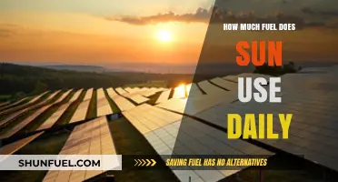The Sun's Daily Fuel Consumption: A Cosmic Mystery