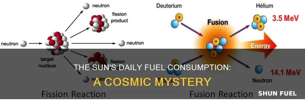 how much fuel does sun use daily