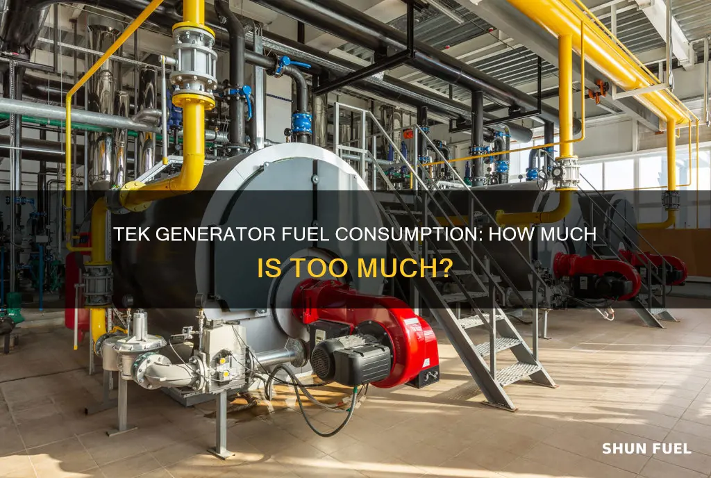 how much fuel does tek generator use