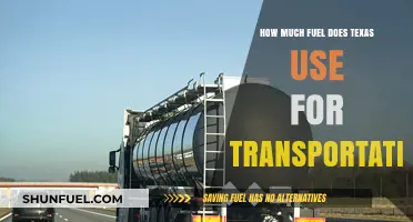 Texas Transportation Fuel Consumption: Trends and Insights