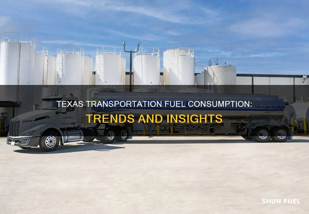 how much fuel does texas use for transportation
