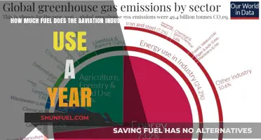 The Aviation Industry's Fuel Consumption Problem