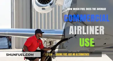 Airliners' Fuel Consumption: How Much is Too Much?