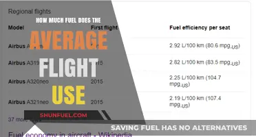 Fuel Consumption of Commercial Flights: How Much is Too Much?