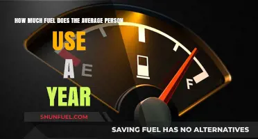 Fuel Consumption: Average Person's Annual Usage