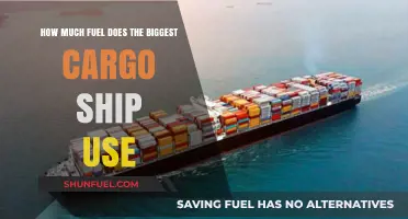 Giant Cargo Ships: How Much Fuel Do They Consume?
