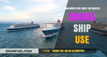 Giant Cruise Ships' Fuel Consumption: How Much?