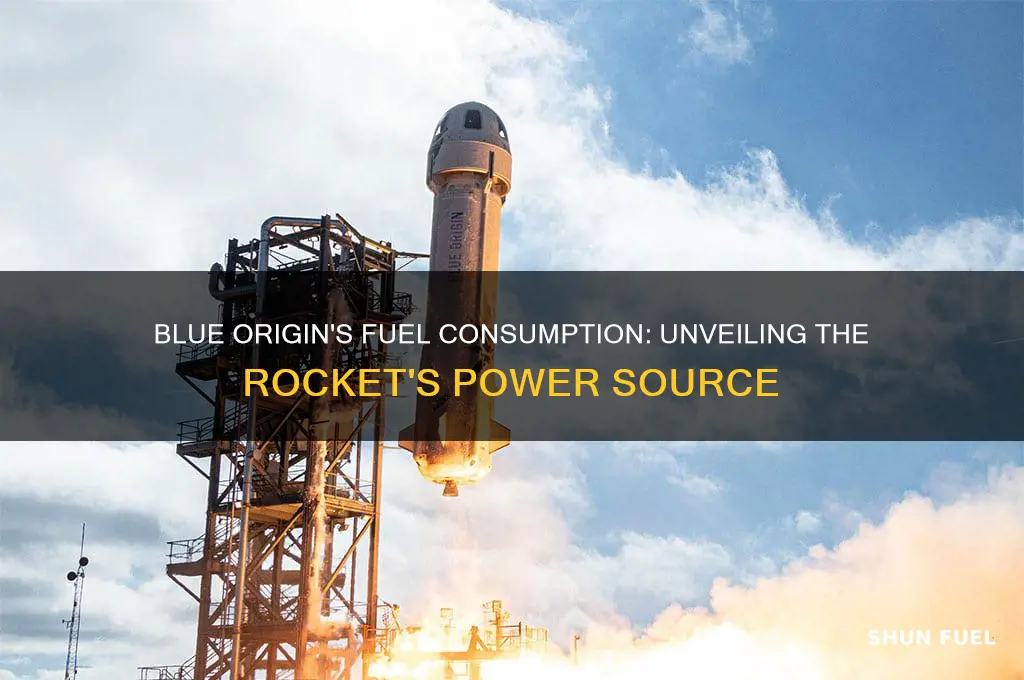 how much fuel does the blue origin use