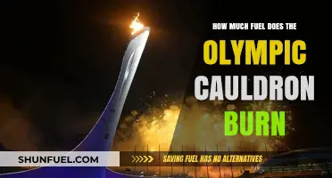 Olympic Cauldron's Fuel Consumption: A Burning Question
