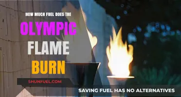 Olympic Torch: Fuel Consumption and Burning Secrets