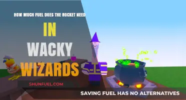 Fuel Requirements for a Wacky Wizards Rocket