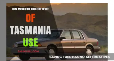 The Spirit of Tasmania's Fuel Consumption