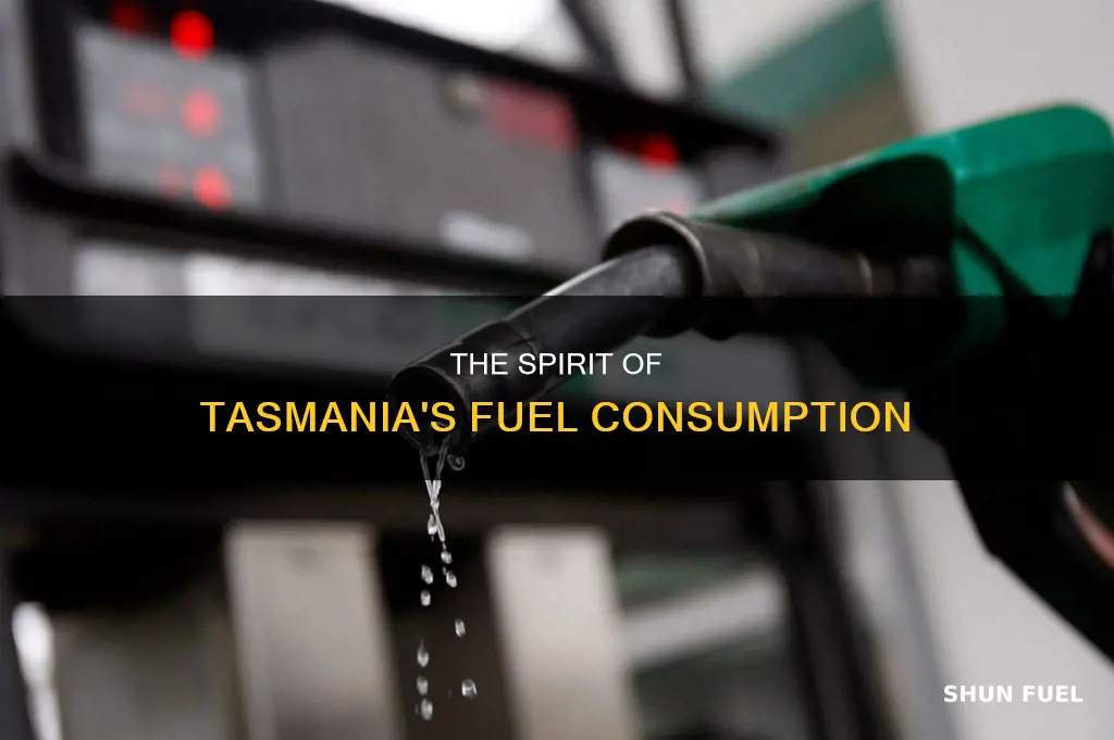 how much fuel does the spirit of tasmania use