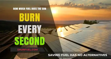 The Sun's Fuel Consumption: Burning Brightly