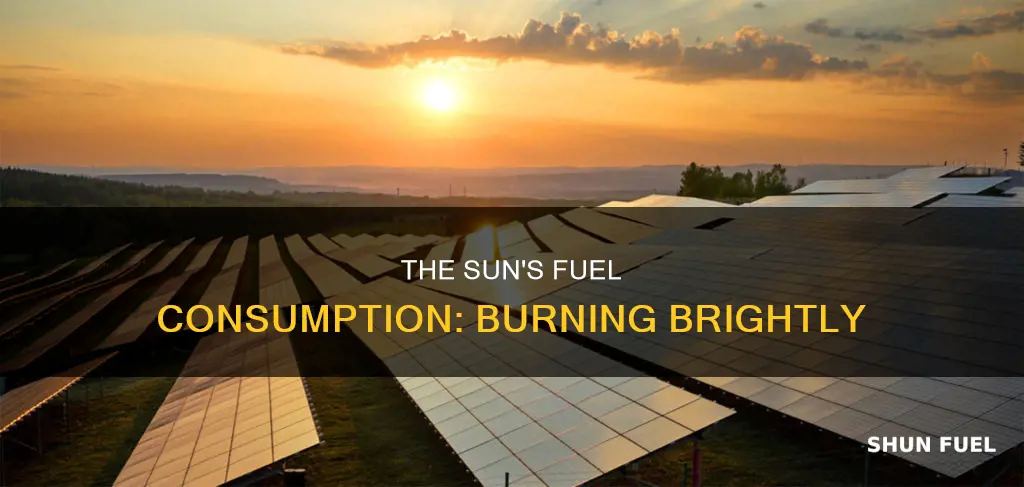 how much fuel does the sun burn every second
