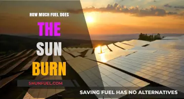 The Sun's Fuel: Burning at an Unfathomable Rate