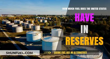 US Fuel Reserves: How Much Is Enough?