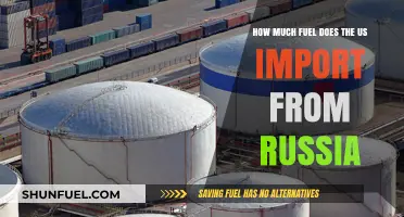 Russia-US Fuel Trade: How Much is Imported?