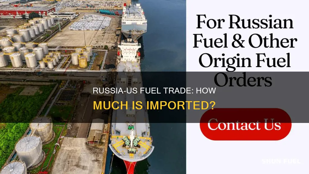 how much fuel does the us import from russia