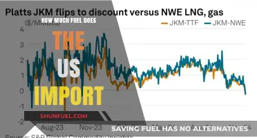 The US Fuel Imports: How Much and From Where?