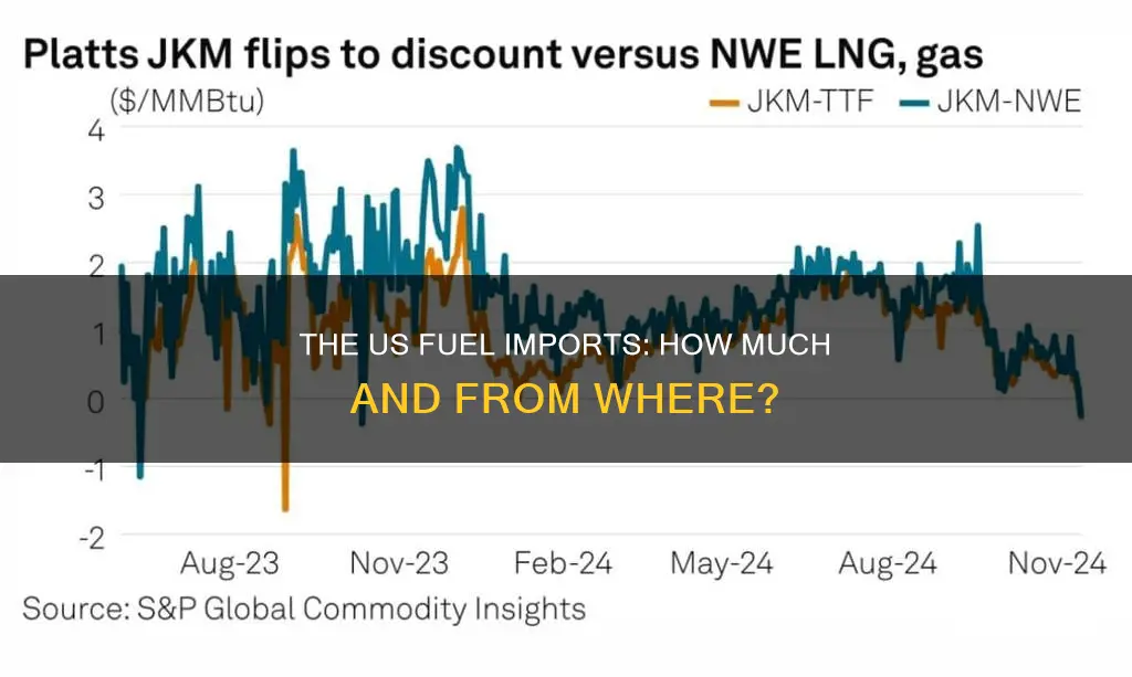 how much fuel does the us import