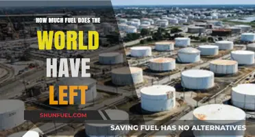 The World's Fuel: Running on Empty?