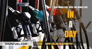 The World's Daily Fuel Consumption: A Global Overview