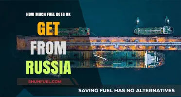 UK's Russian Fuel Imports: What's the Damage?