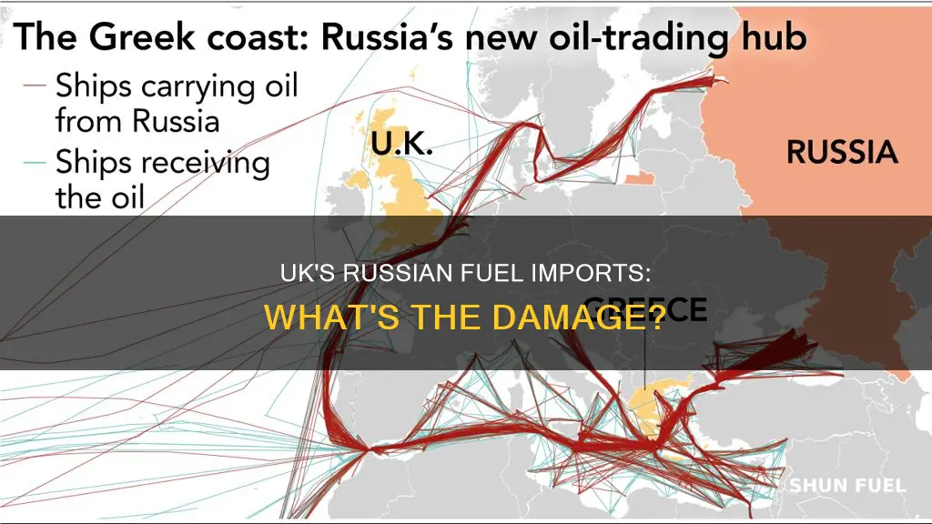 how much fuel does uk get from russia