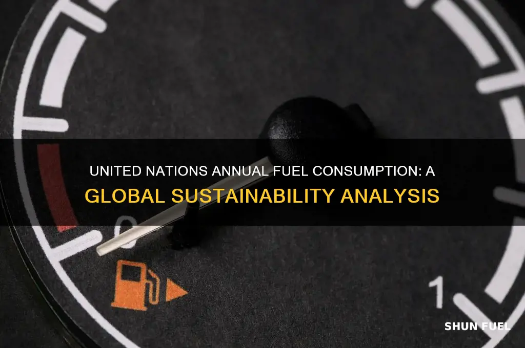 how much fuel does united nations use per year
