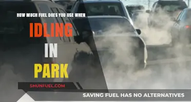 Idling in Park: How Much Fuel Does It Waste?