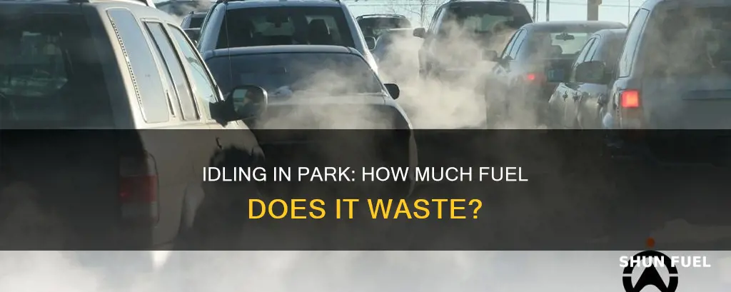 how much fuel does you use when idling in park