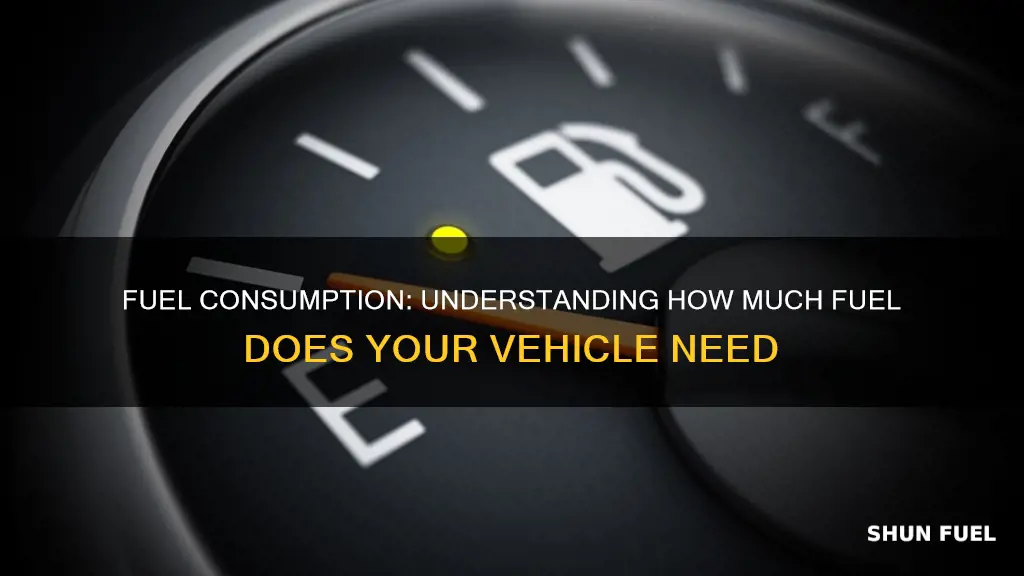 how much fuel does
