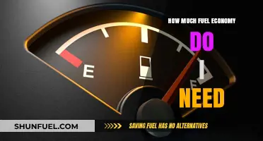 Fuel Economy: What's the Sweet Spot?