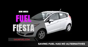 Fiesta Fuel Efficiency: How Much Can You Expect?