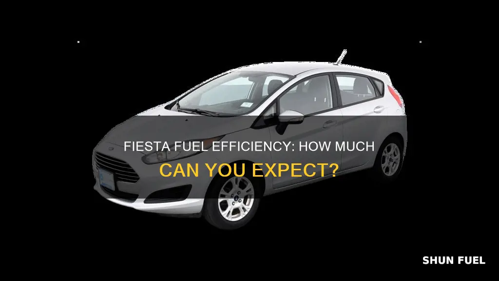 how much fuel fiesta